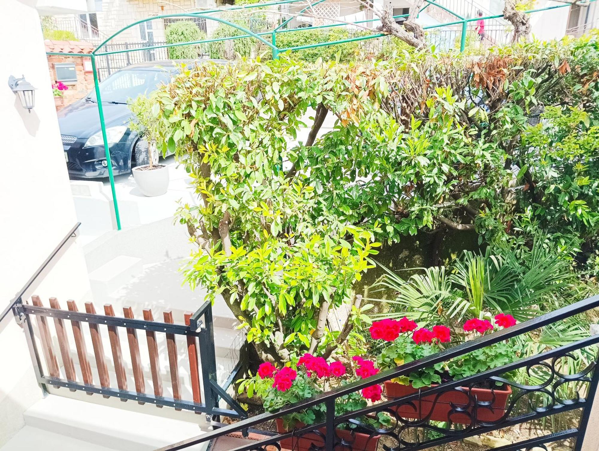 Green Park And Sunny Terrace Apartments Ankaran Kültér fotó